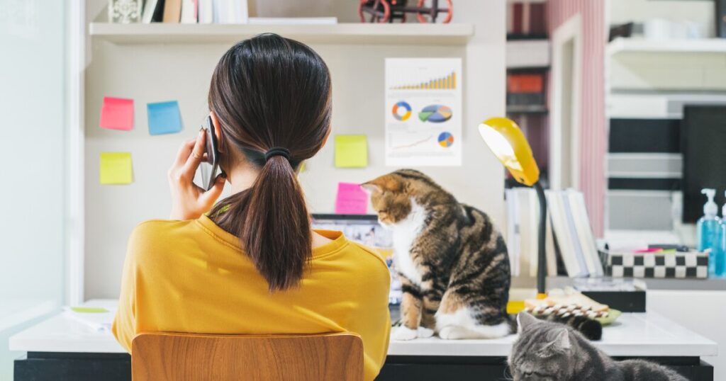 RTO fait que le travail à distance est à forte demande