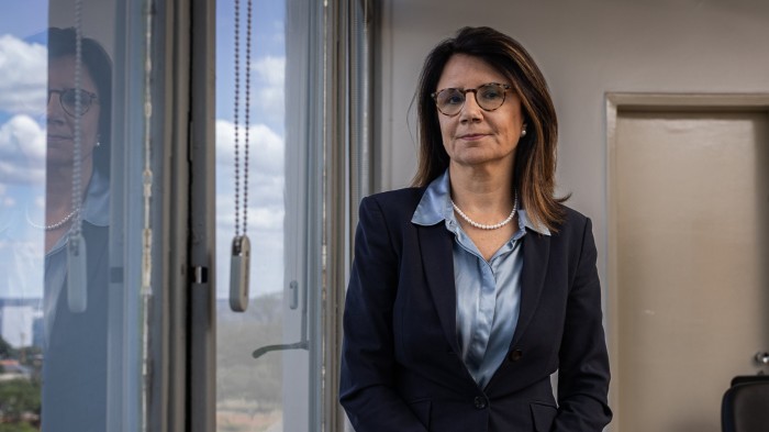 Trade Wars risque de freiner l’accès à la technologie verte clé, avertissement du directeur du climat du Brésil