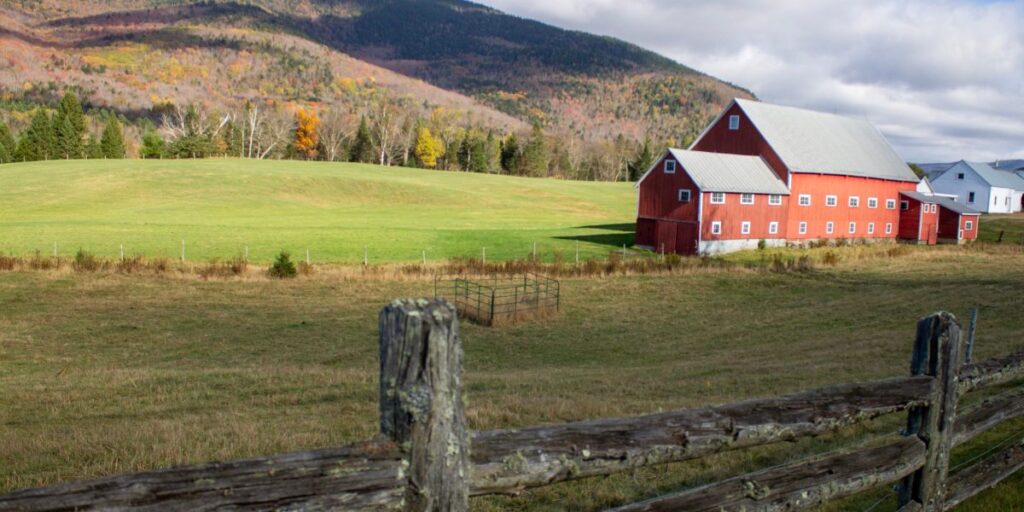 « Vous ne verrez pas cette couleur sur certaines collines cette année » : l’apparition du feuillage d’automne est gênée par la sécheresse et le changement climatique