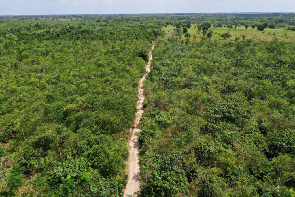 Une nouvelle technologie pourrait aider à atteindre les objectifs de conservation de la forêt amazonienne de la COP30 – Environnement