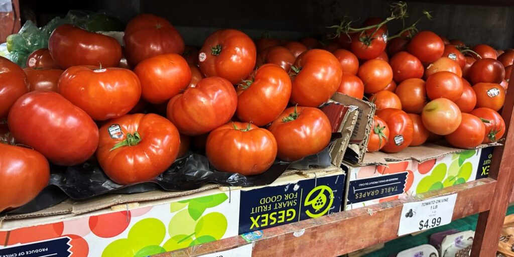 Les prix des tomates ont augmenté de plus de 40 % par rapport à l’année dernière, dernier symbole de la crise des prix abordables