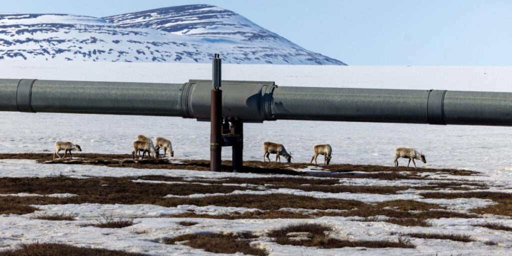 La résurgence du pétrole en Alaska déclenche une nouvelle ruée énergétique vers l’Arctique